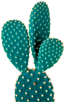 Nopal